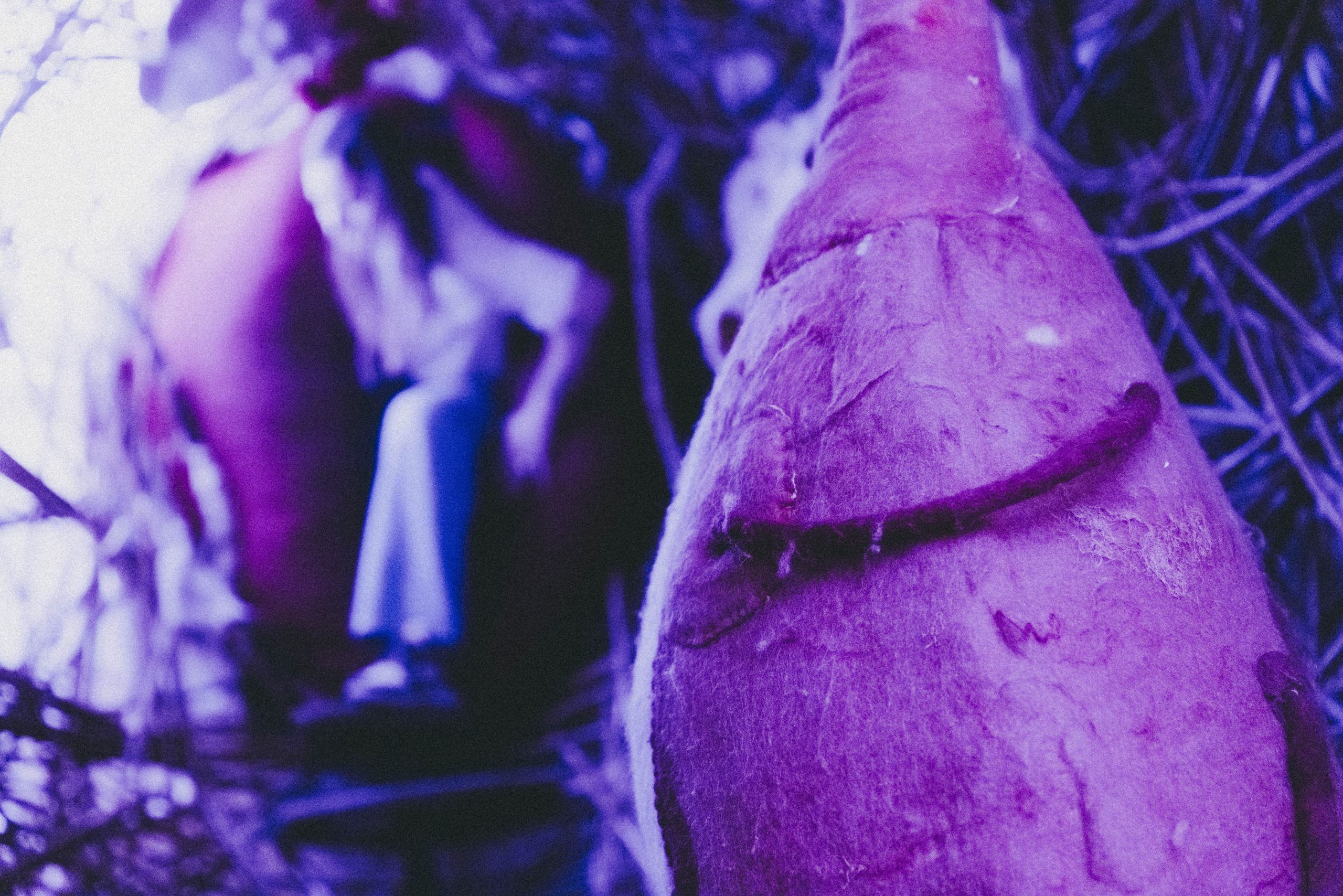 Fotografie Tilburg oktober 2024 Lize Kraan-87