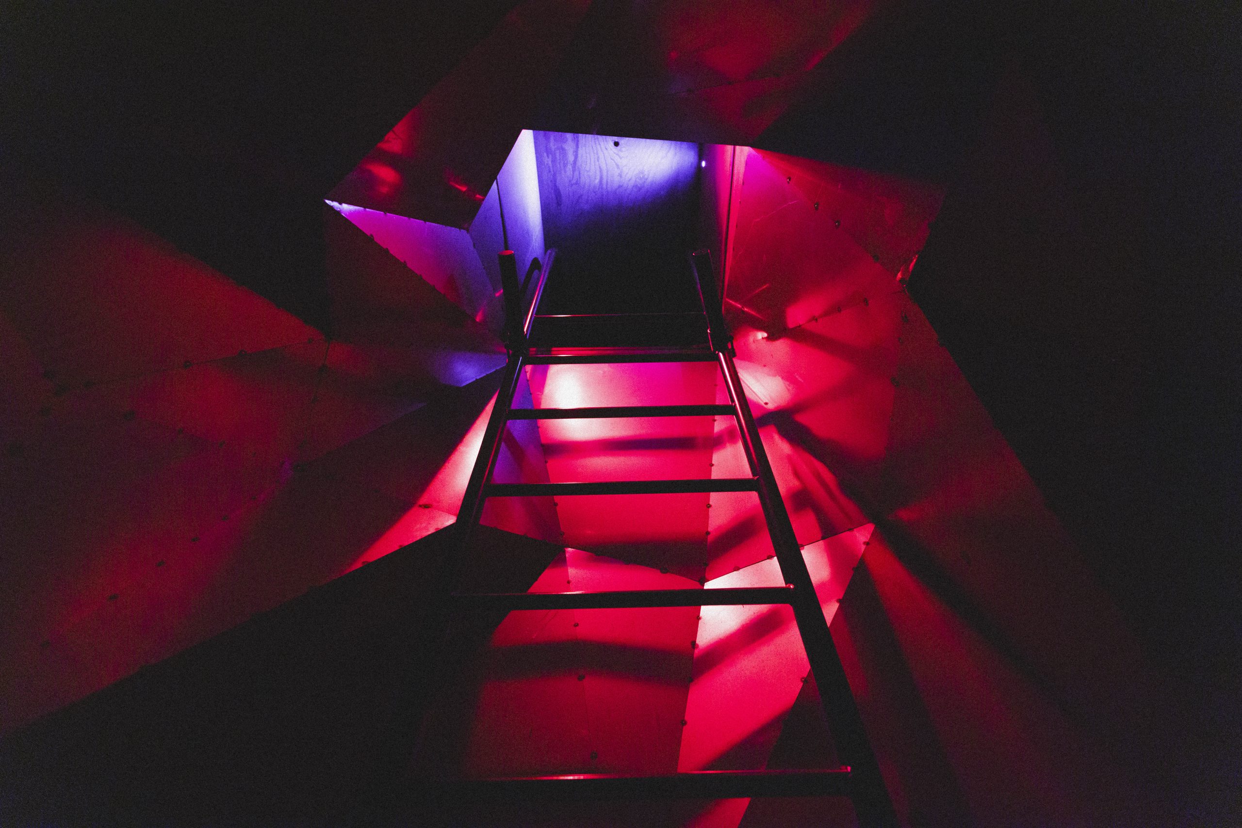 Fotografie juli 2024 Lize Kraan-64