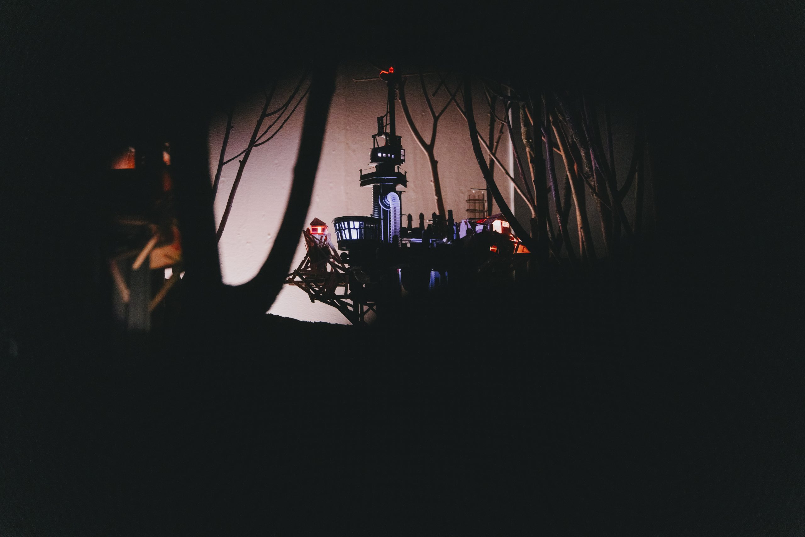 Fotografie juli 2024 Lize Kraan-7