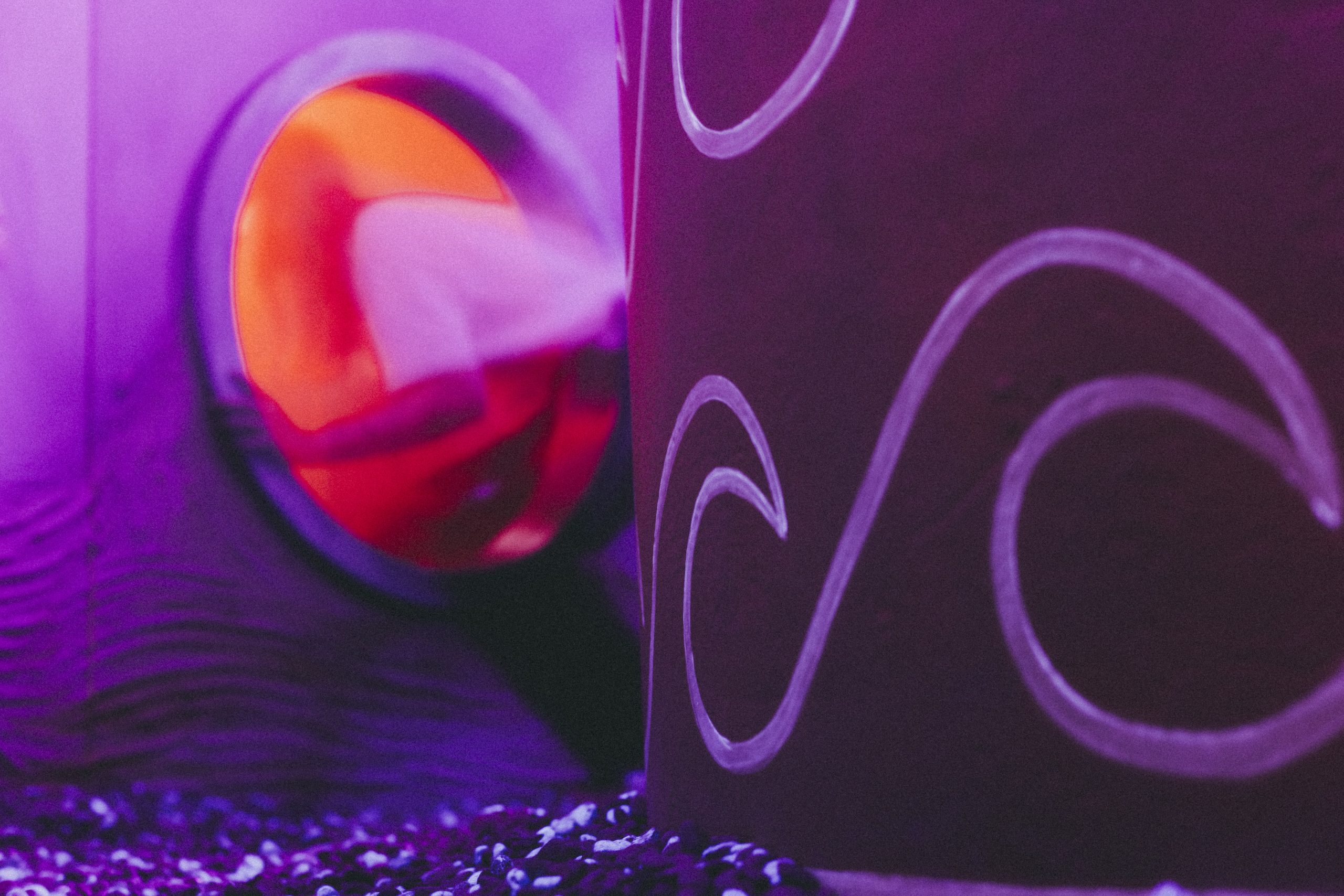 Foto's 4 juni 2024-21 kopie