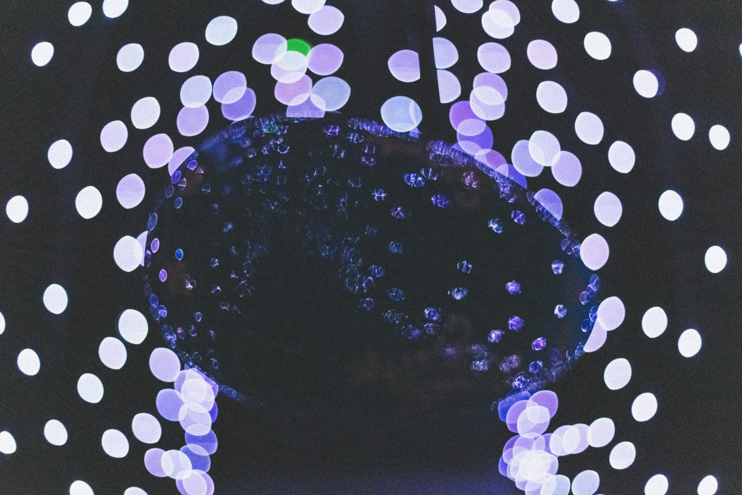 Foto's 4 juni 2024-49 kopie